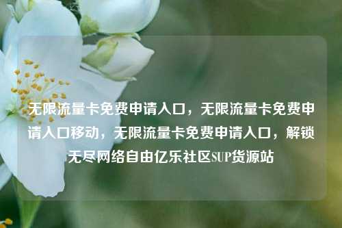 无限流量卡免费申请入口，无限流量卡免费申请入口移动	，无限流量卡免费申请入口，解锁无尽网络自由亿乐社区SUP货源站  第1张