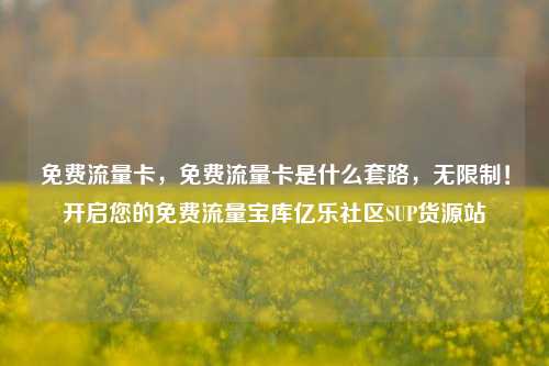 免费流量卡	，免费流量卡是什么套路，无限制！开启您的免费流量宝库亿乐社区SUP货源站  第1张