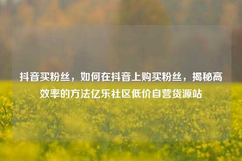 抖音买粉丝，如何在抖音上购买粉丝	，揭秘高效率的方法亿乐社区低价自营货源站  第1张