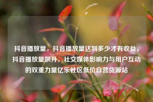 抖音播放量，抖音播放量达到多少才有收益，抖音播放量飙升	，社交媒体影响力与用户互动的双重力量亿乐社区低价自营货源站  第1张