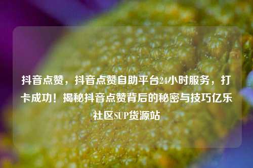 抖音点赞，抖音点赞自助平台24小时服务	，打卡成功！揭秘抖音点赞背后的秘密与技巧亿乐社区SUP货源站  第1张
