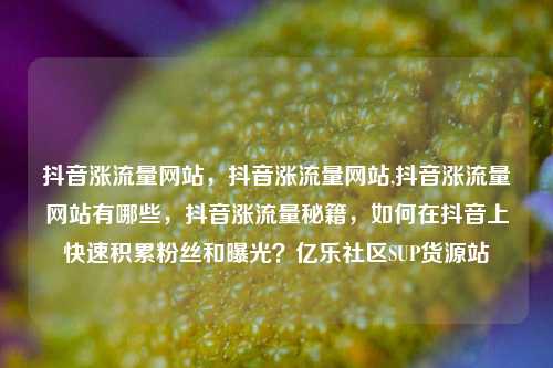 抖音涨流量网站，抖音涨流量网站,抖音涨流量网站有哪些	，抖音涨流量秘籍，如何在抖音上快速积累粉丝和曝光？亿乐社区SUP货源站  第1张