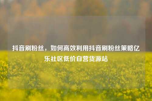 抖音刷粉丝，如何高效利用抖音刷粉丝策略亿乐社区低价自营货源站  第1张