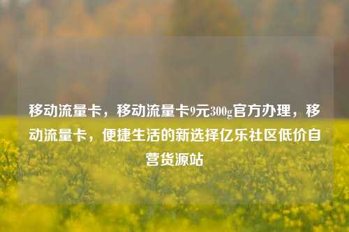 移动流量卡	，移动流量卡9元300g官方办理，移动流量卡，便捷生活的新选择亿乐社区低价自营货源站  第1张