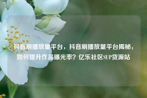 抖音刷播放量平台	，抖音刷播放量平台揭秘，如何提升作品曝光率？亿乐社区SUP货源站  第1张