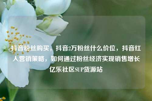 抖音粉丝购买，抖音2万粉丝什么价位，抖音红人营销策略	，如何通过粉丝经济实现销售增长亿乐社区SUP货源站  第1张