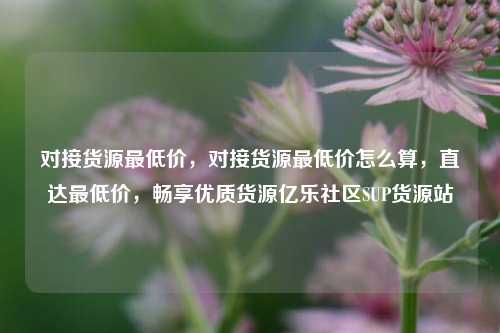 对接货源最低价，对接货源最低价怎么算，直达最低价	，畅享优质货源亿乐社区SUP货源站  第1张