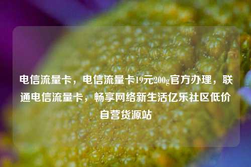 电信流量卡	，电信流量卡19元200g官方办理，联通电信流量卡，畅享网络新生活亿乐社区低价自营货源站  第1张