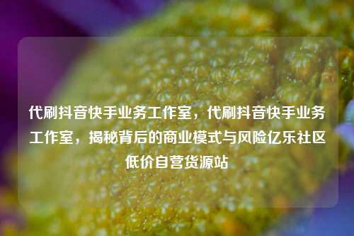 代刷抖音快手业务工作室，代刷抖音快手业务工作室，揭秘背后的商业模式与风险亿乐社区低价自营货源站  第1张