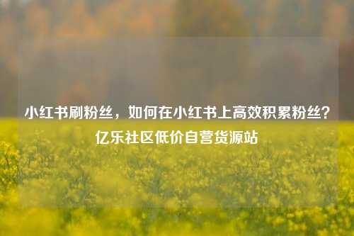 小红书刷粉丝	，如何在小红书上高效积累粉丝？亿乐社区低价自营货源站  第1张