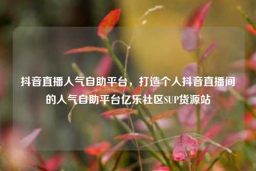 抖音直播人气自助平台，打造个人抖音直播间的人气自助平台亿乐社区SUP货源站  第1张