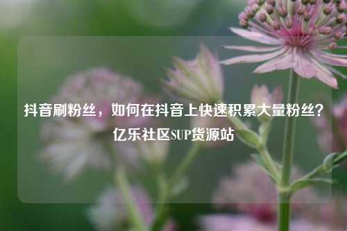 抖音刷粉丝，如何在抖音上快速积累大量粉丝？亿乐社区SUP货源站  第1张