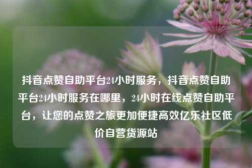 抖音点赞自助平台24小时服务，抖音点赞自助平台24小时服务在哪里，24小时在线点赞自助平台	，让您的点赞之旅更加便捷高效亿乐社区低价自营货源站  第1张