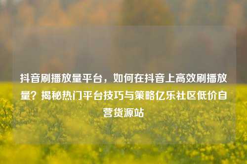 抖音刷播放量平台，如何在抖音上高效刷播放量？揭秘热门平台技巧与策略亿乐社区低价自营货源站  第1张