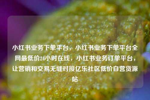 小红书业务下单平台	，小红书业务下单平台全网最低价24小时在线，小红书业务订单平台，让营销和交易无缝对接亿乐社区低价自营货源站  第1张