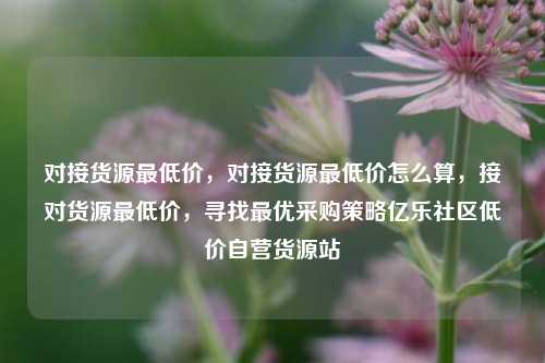 对接货源最低价	，对接货源最低价怎么算，接对货源最低价，寻找最优采购策略亿乐社区低价自营货源站  第1张