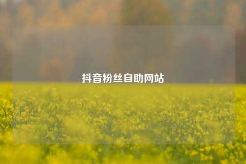 抖音粉丝自助网站  第1张