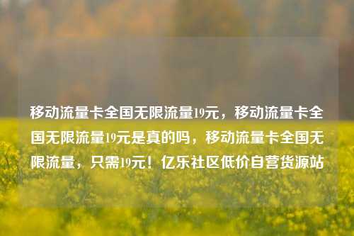 移动流量卡全国无限流量19元，移动流量卡全国无限流量19元是真的吗	，移动流量卡全国无限流量，只需19元！亿乐社区低价自营货源站  第1张