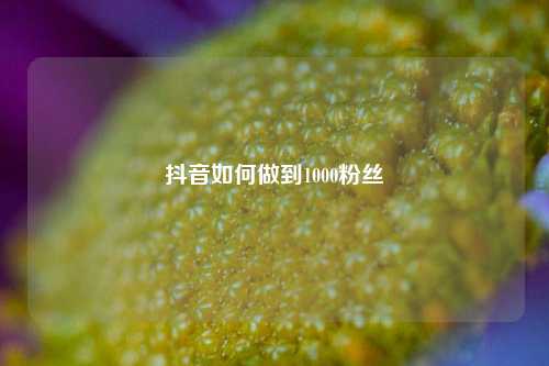 抖音如何做到1000粉丝  第1张