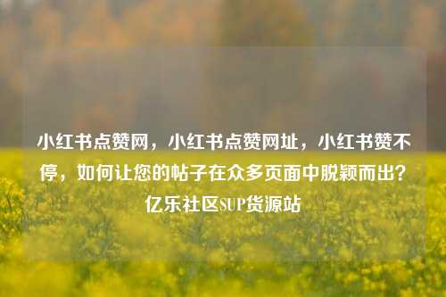 小红书点赞网，小红书点赞网址，小红书赞不停	，如何让您的帖子在众多页面中脱颖而出？亿乐社区SUP货源站  第1张